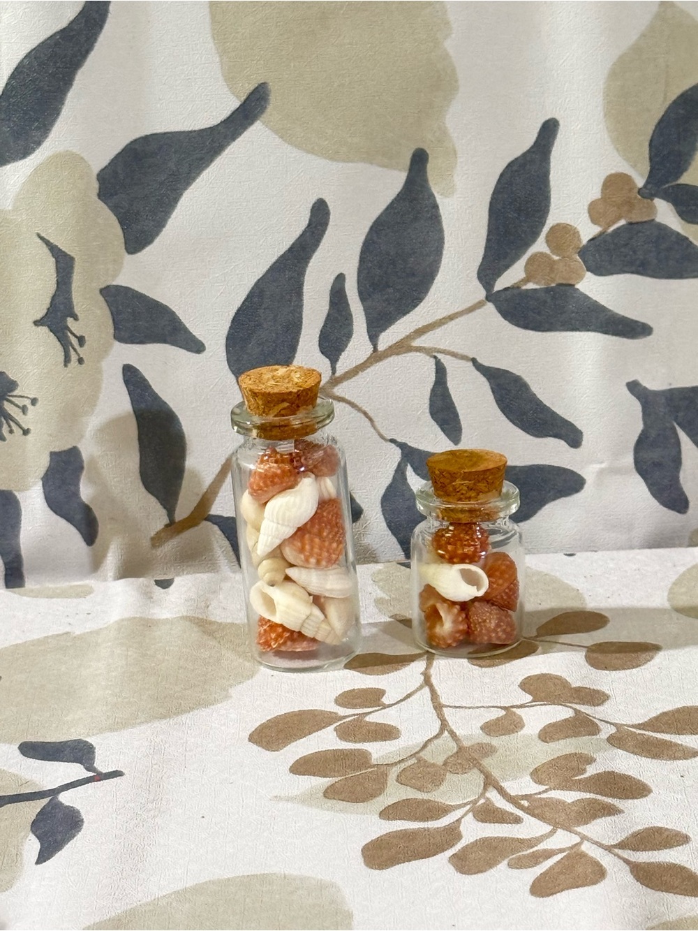 Glass Cork Jar with Assorted Seashells - White & Redish/Orange